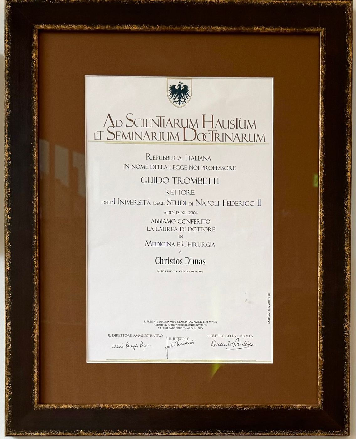 Diploma from the University of Naples Federico II