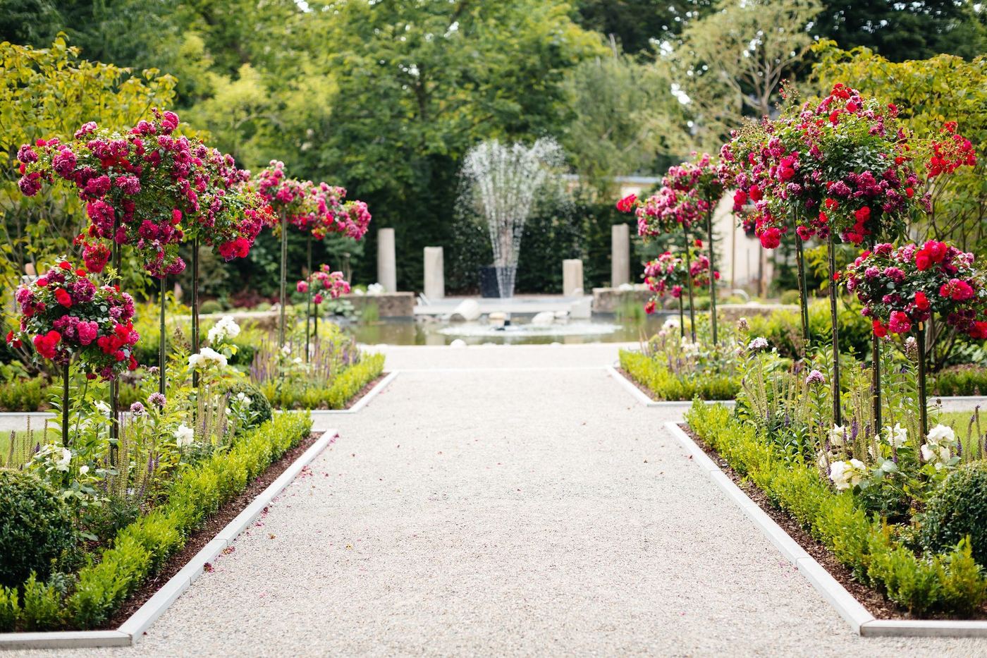 Rose garden of the Villa Hupfeld